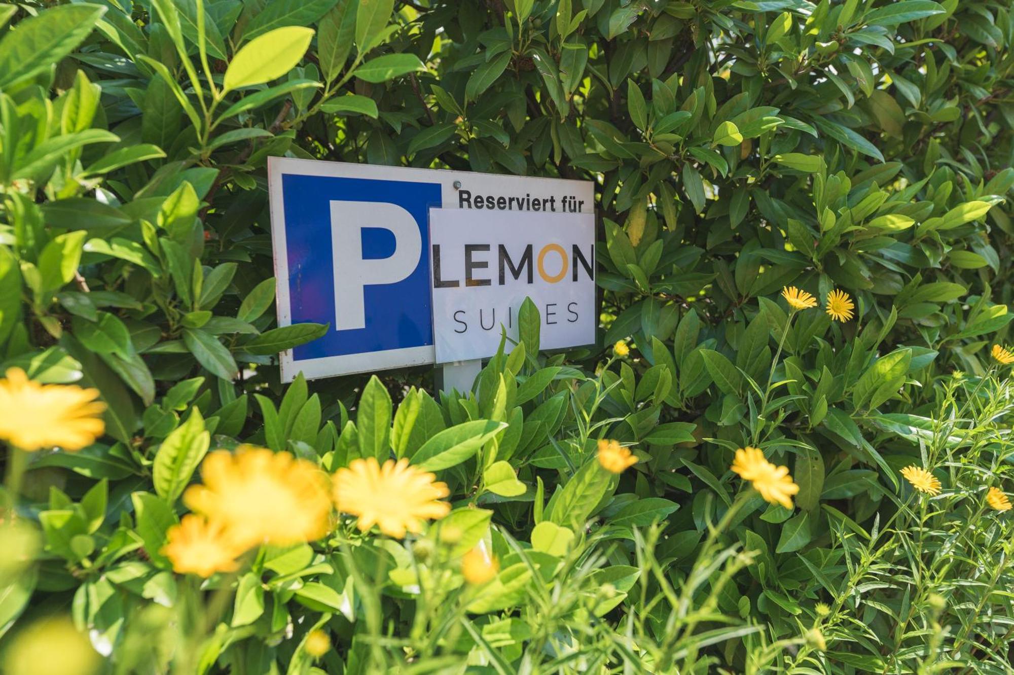 Lemon Suites Hildrizhausen - Ideal Fuer Teams Und Monteure Exterior photo